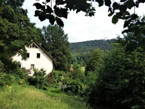 Ferienwohnung Ringbergblick